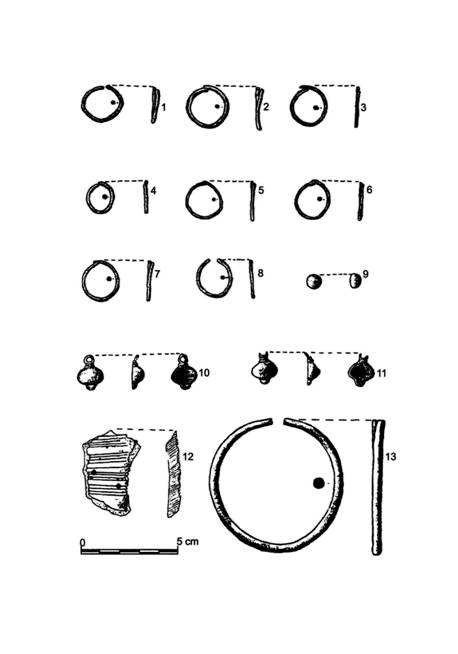Pl. II. 1-13: Alba Iulia- Str. Brînduşei / 2001 ( după Dragotă 2003 ).